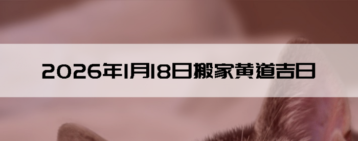 2026��1��18�������ʺϰ����