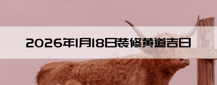 2026��1��18������װ����ô��