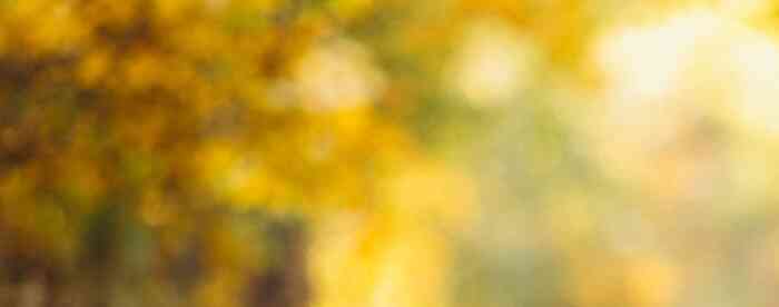 <b>������س����ռ������ϲ����</b>