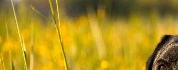 <b>һ���˵Ĳ��˶��٣����ֿ�����</b>