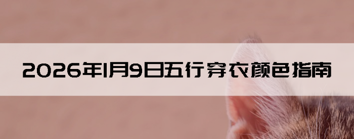 2026��1��9�����д�����ɫָ��