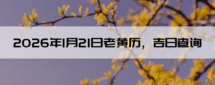 2026��1��21���ϻ��������ղ�ѯ