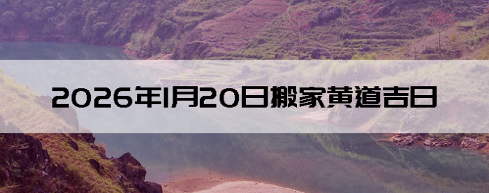 2026��1��20�հ�Һ����Ӳ�ѯ