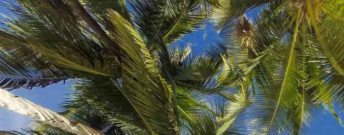 12��Ф�����ʲôһ���ͷ���