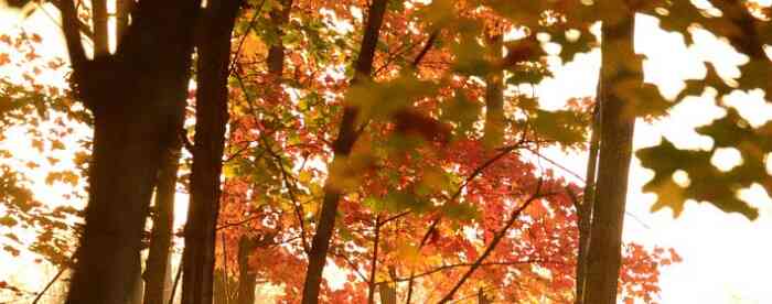 �����������˲�����ôת���в�