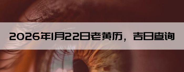 2026��1��22���ϻ��������ղ�ѯ