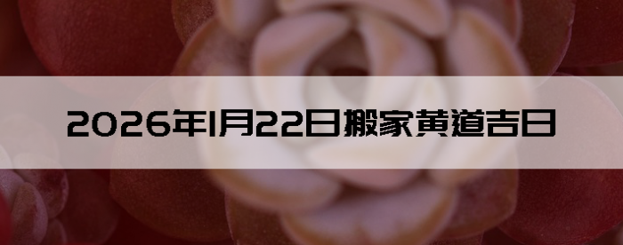 2026��1��22�������ʺϰ����