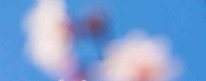 <b>�Ʋ����İ��֣����˿϶�������</b>