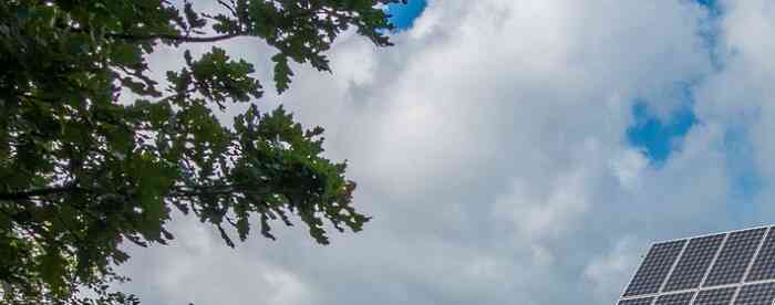 ϲ����嵼������������ôת��