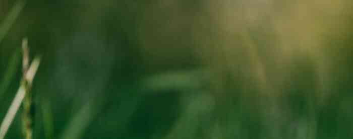 ������Բ���ݹ���Ҫ��Ҫ����