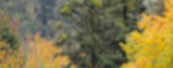 <b>�����������˵İ������氮����</b>