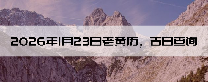 2026��1��23���ϻ��������ղ�ѯ