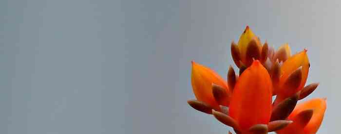 �����˹�����������������˵İ��ֺϲ��ϣ�