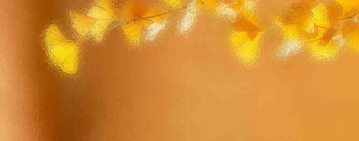 ���������������׬Ǯ����಻��