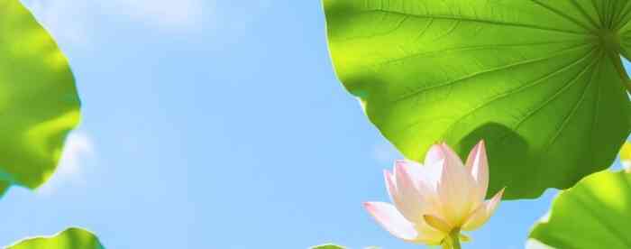 ���˲�����ôת���вƱ����Ʋ�