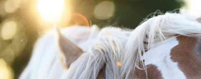 ����������ƣ������֧�Ľ��