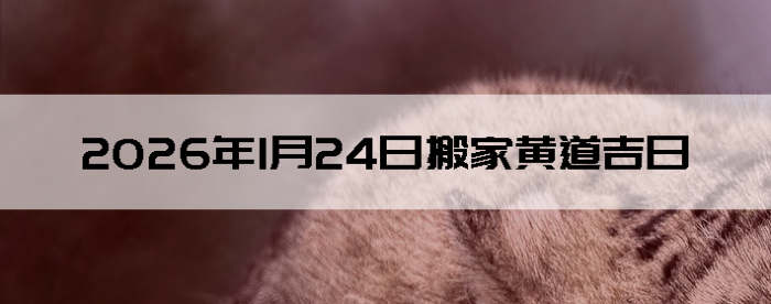 2026��1��24�հ�Һ����Ӳ�ѯ