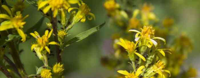 �������������������ܿ����һ�