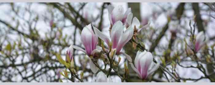 <b>������ȥ�����ˣ�����˵�ҡ�ͯ������</b>