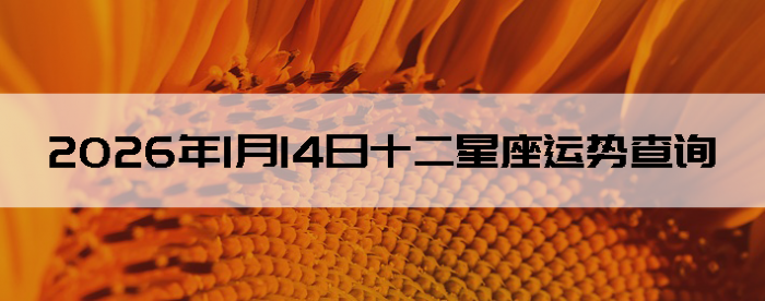 2026��1��14��ʮ���������Ʋ�ѯ