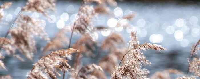 �������������ͨ�����������Ƹ��ˣ�