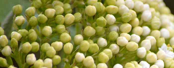 �����˹����������������ô�����ƺû���