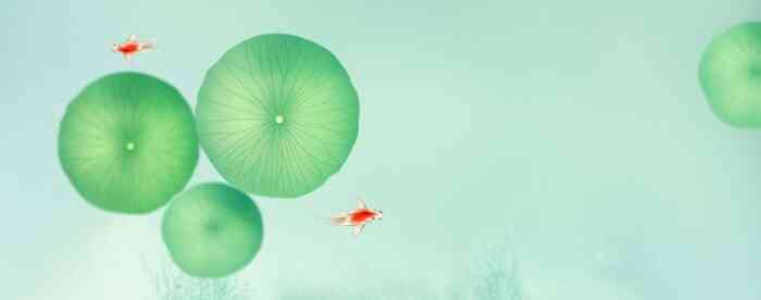 ����������������к��������