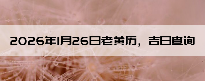 2026��1��26���ϻ��������ղ�ѯ