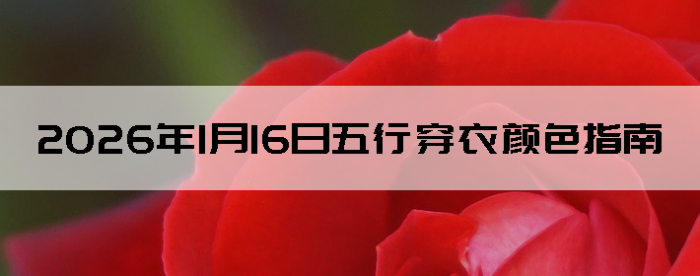 2026��1��16�����д�����ɫָ��