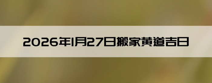 2026��1��27�������ʺϰ����