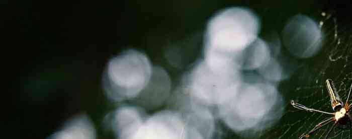 �ƹ���������9Ǯ������ϸ����