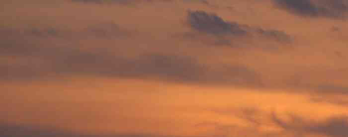 �����˹�������������������ҵ��