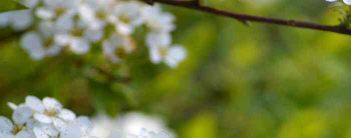 ���˲�����ôת���в�Ҫע��ʲô��