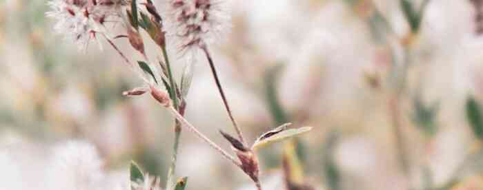 <b>��س�������������ʵ�������</b>