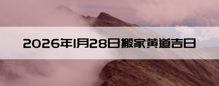 2026��1��28�������ʺϰ����