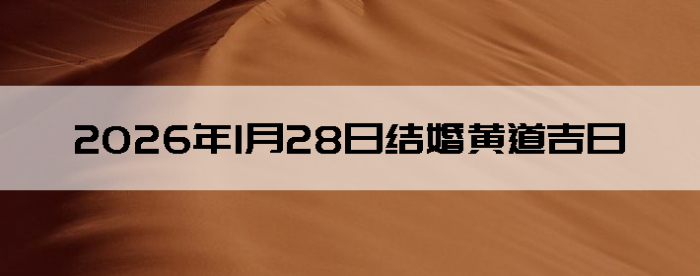 2026��1��28����������ô��