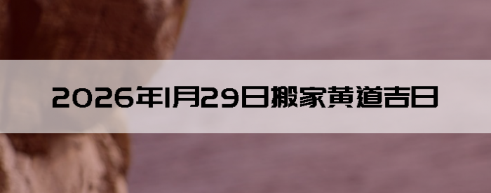 2026��1��29�հ�Һ����Ӳ�ѯ