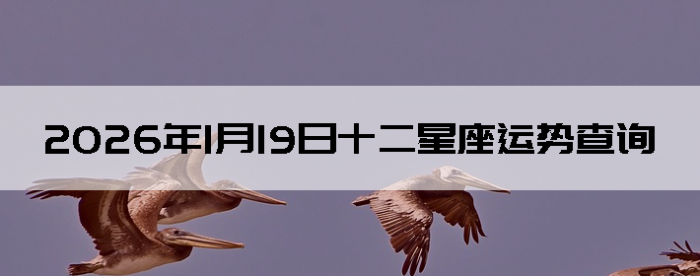 2026��1��19��ʮ���������Ʋ�ѯ