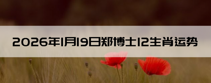 2026��1��19��֣��ʿ12��Ф����