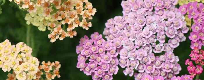 �����˹�����������һ���Ե