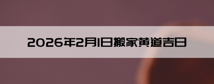 2026��2��1�������ʺϰ����