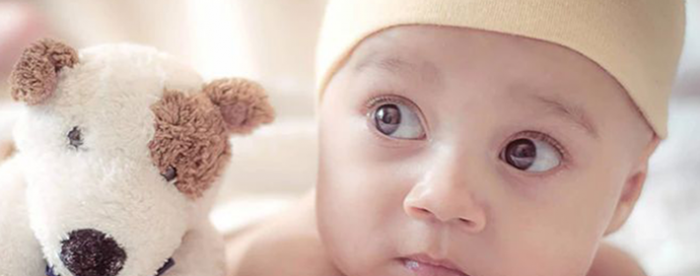 <b>��س���������׶��ԣ��ܷ�ɹ�</b>