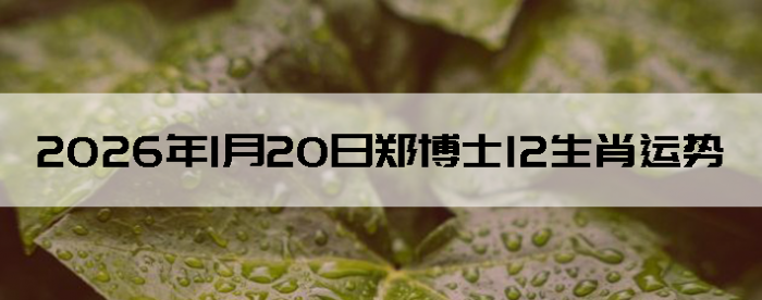 2026��1��20��֣��ʿ12��Ф����