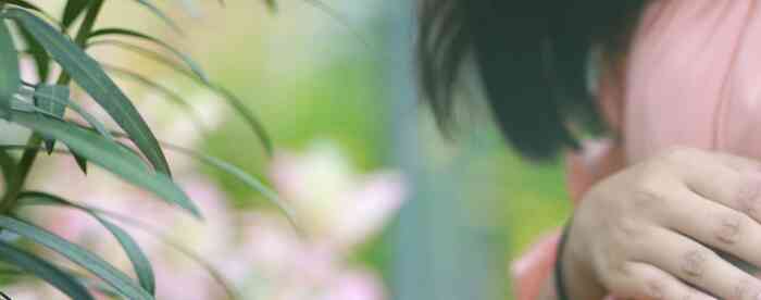 ������Ѳ���2026���ܻ�������