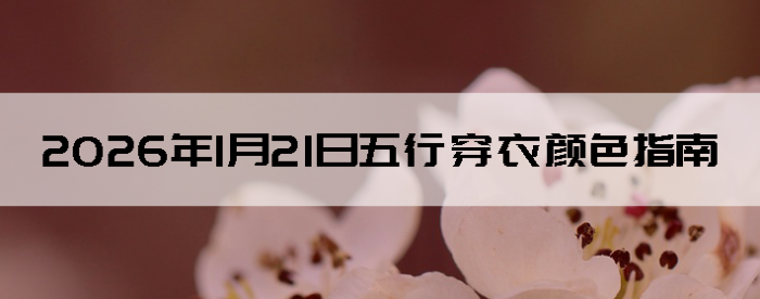 2026��1��21�����д�����ɫָ��