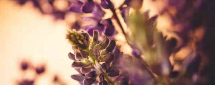 <b>�ĸ���Ф�а����Ļ������½��</b>