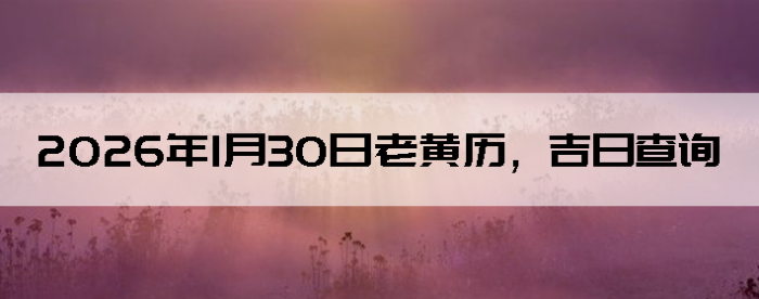 2026��1��30���ϻ��������ղ�ѯ