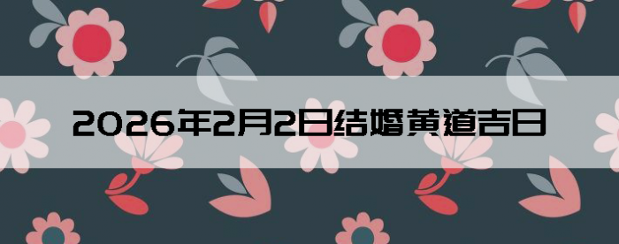 2026��2��2�ս������Ӳ�ѯ