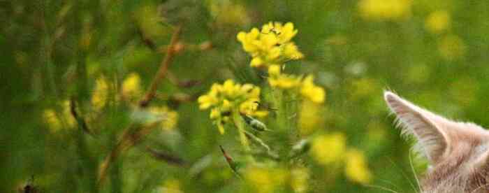 <b>����������޲���������������</b>