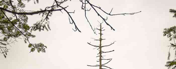 �ƹ���������6Ǯ�������һ��